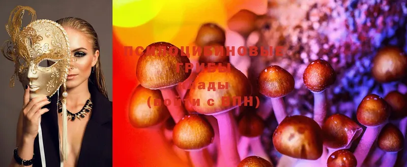 продажа наркотиков  Северская  Псилоцибиновые грибы MAGIC MUSHROOMS 